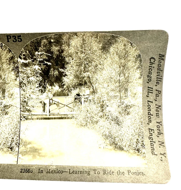 Stereoview Card Keystone P35 23686 Mexico Learning Ride Ponies