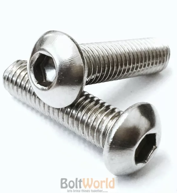 Vis En Titane Gr5 - Tête Hexagonale - M2 M2.5 M3 M4 M5 M6 M8 - Neuf