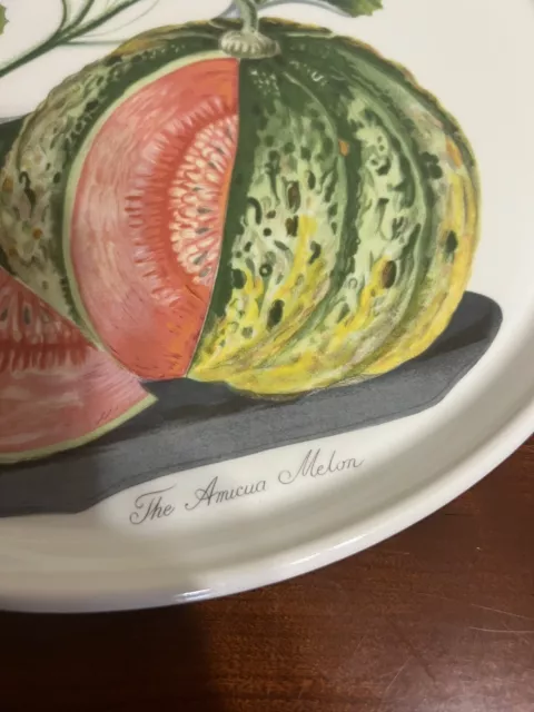 PORTMEIRION POMONA AMICUA MELON PLATE   Made In England 2