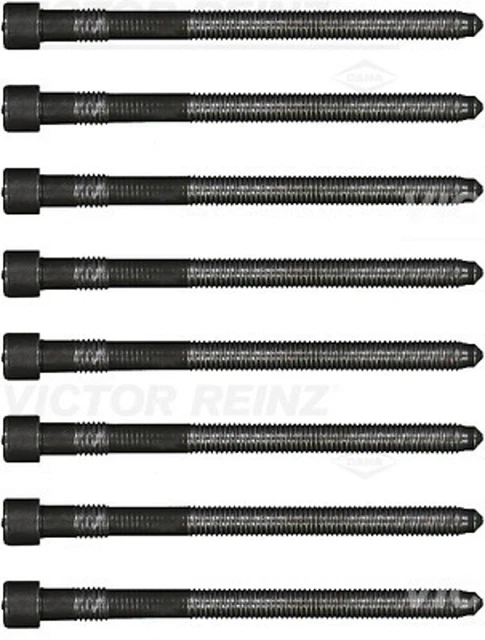 2 set viti testata cilindro Victor Reinz 14-32166-03/2x per Audi M10 A4 A6 C5