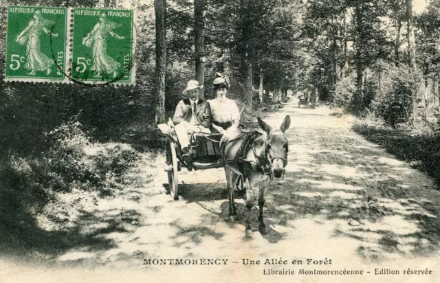 Carte MONTMORENCY Une allée en Forêt Attelage d'âne