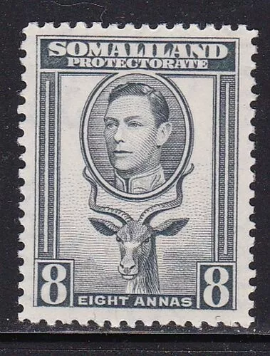 Album Treasures Somaliland Scott # 90  8a  George VI  Greater Kudu  Mint NH