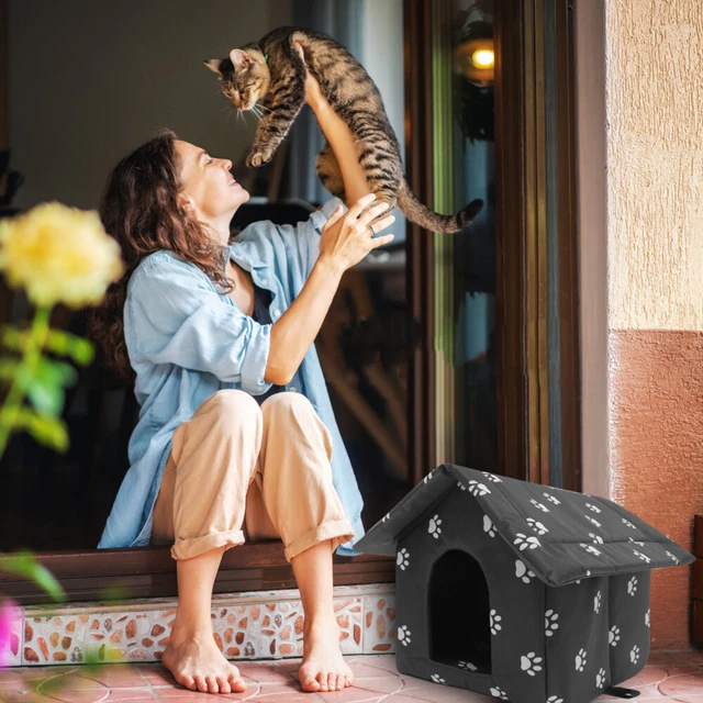 CASE PER GATTI da esterno gatti decorativi gattini isolati cane