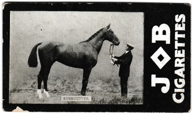 Societe Job - 'Racehorses - 1908/9 Winners' (1909) - Rushcutter