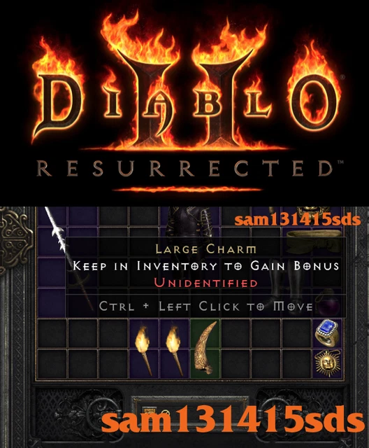 DIABLO 2 RESURRECTED Unid HELLFIRE TORCH Unidentified Large Charm D2R