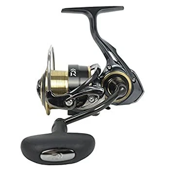 リール DAIWA - DAIWA THEORY 3012 Daiwa 17 Theory 3012H Spinning Reel | eBay