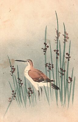 Vintage Postcard 1909 Painting Of A Bird Hays Animal Beautiful Simple Artwork