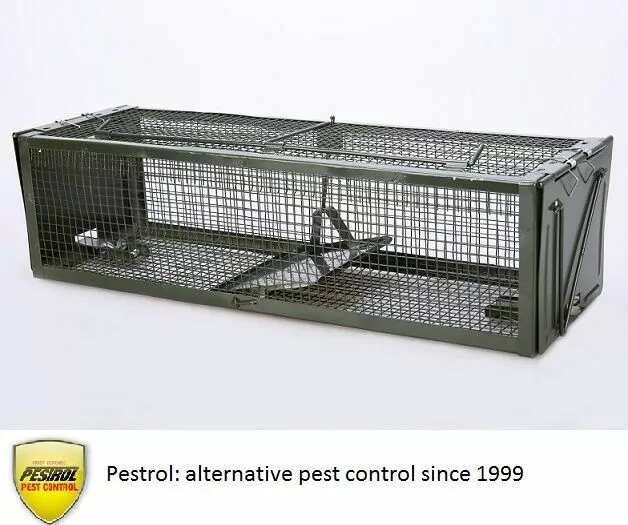 Rat Trap - New to Australia and Sydney from Pestrol FAST AND FREE