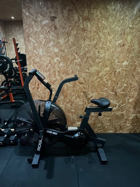Rogue echo bike for sale uk 2025