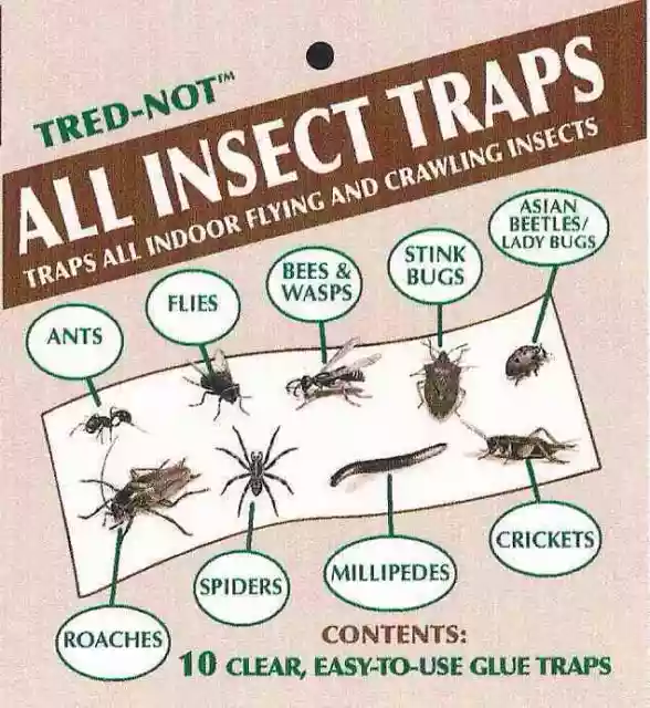 10 pk  ALL INSECT TRAPS. Clear sticky glue boards / sheets.  Ships from USA