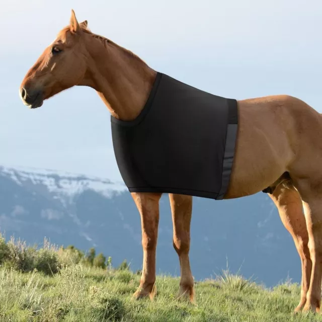 High Elastic Horse Chest Saver Black Horse Protective Vest  Equestrian Sport