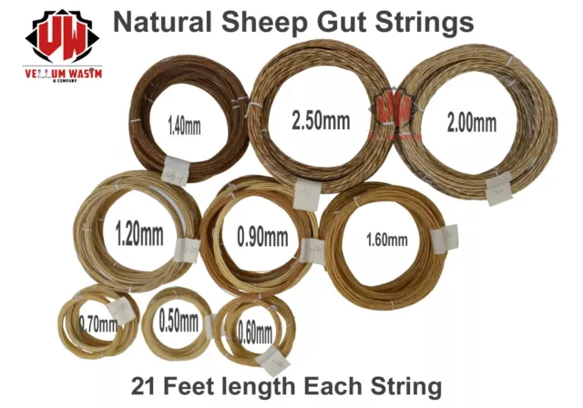 Lote de 10 piezas cuerdas intestinales naturales de oveja bajo doble 21 pies de largo cada cuerda.