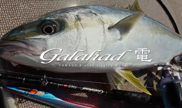 Yamaga Rod Baitcast Jigging Model Galahad GA-586B-Electric Reel (6099)