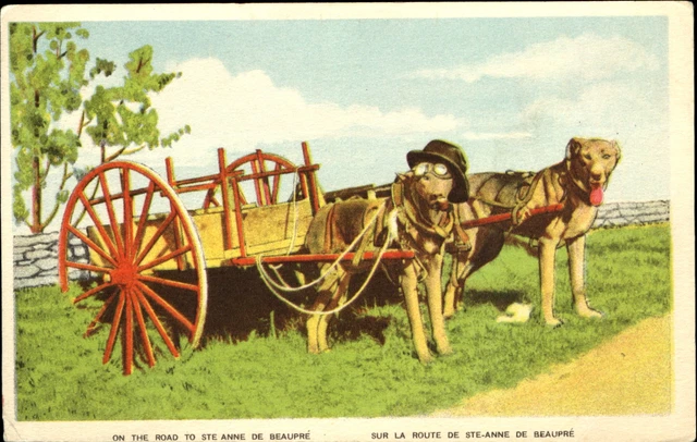 Dog wearing hat & goggles pulling cart ~Road to St Anne de Beaupre Canada