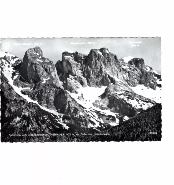 AK Ansichtskarte Panorama vom Alpengasthof Bodenbauer am Fuße des Hochschwab