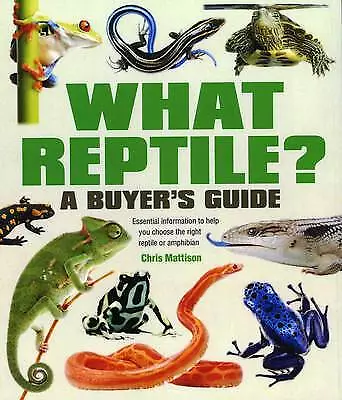 Chris Mattison : What Reptile? A Buyers Guide - Essential FREE Shipping, Save £s