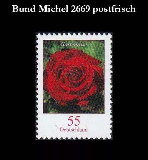 Bund BRD 2008 Michel 2669 DS Blumen: 55 Cent Gartenrose sauber postfrisch **