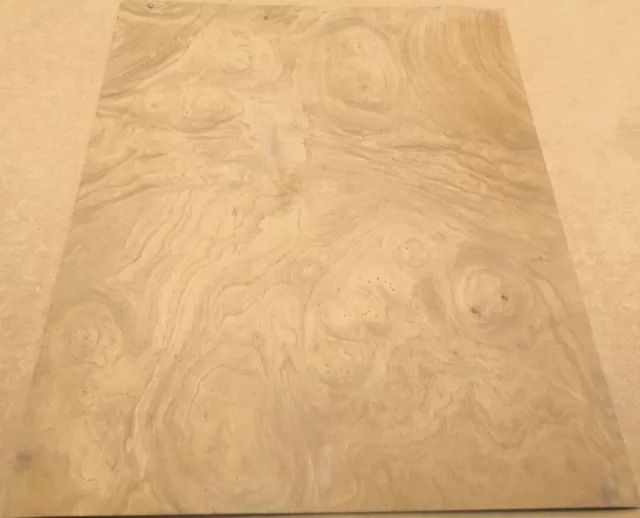 Chestnut Burl figured cluster wood veneer 12" x 14" with paper backer 1/42" AA