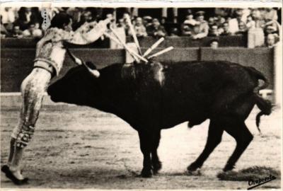 CPA AK Corrida de Toros Toro y Toreros SPAIN 674138 