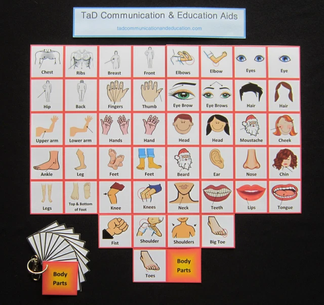 BODY PARTS PICTURE Cards - Autism/PECS/Non verbal/Early Yrs/Visual Aid ...