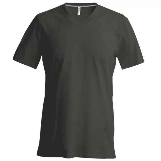 Kariban Mens Short Sleeve V Neck Slim Fit T-Shirt (RW707)