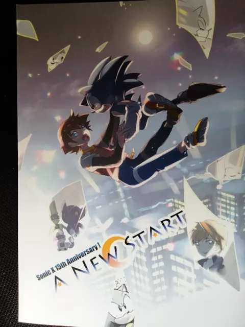 Sonic the Hedgehog Doujinshi Shadow x Sonic (A5 20pages) Kakudaikyo Haluki  ibara