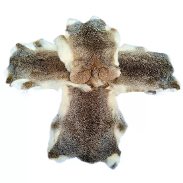4PCS Natural Real Rabbit Skin Pelt Hide Animal Fur Leather Decor Craft Grade Tan 4PCS Natural Real Rabbit Skin Pelt Hide Animal Fur Leather Decor Craft Grade Tan