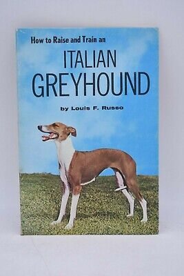 CINOFILIA allevamento cani - Russo: ITALIAN GREYHOUND Raise and train 1964