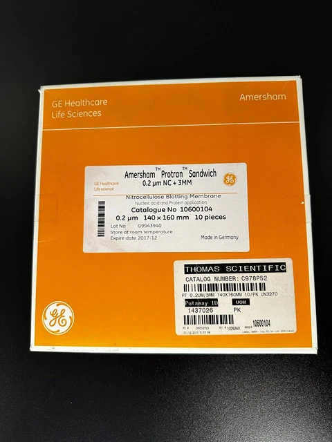 GE Amersham Protran Sandwich 0.2 NC, 140 x 160 mm, 10 pieces