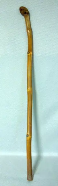Vintage Bamboo Walking Stick Cane