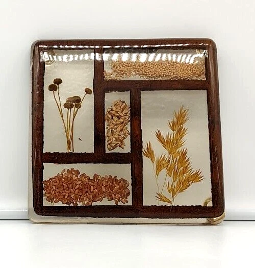 Plano caliente vintage Colorflo Lucite Trivet semillas florales cuelgan o soportes