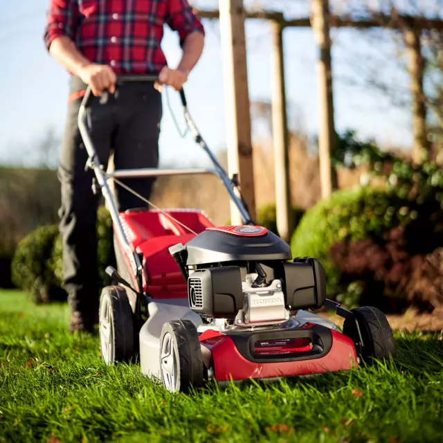 145cc Honda Engine Self-Propelled Petrol Lawn Mower 2