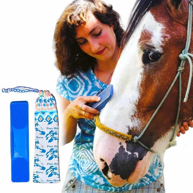 BLOCCO DI SALE DELL'HIMALAYA LIKIT 2KG PER CAVALLI