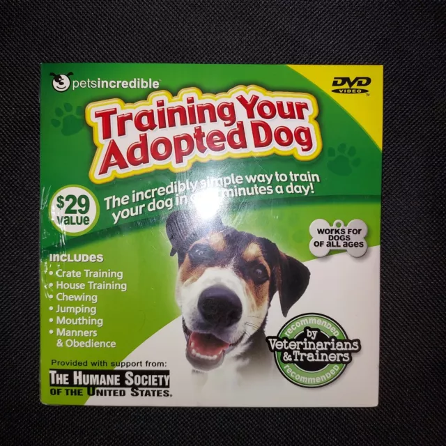 Training Your Adopted Dog