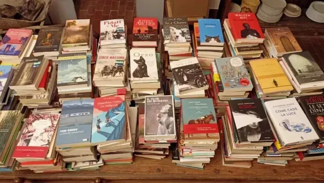 Stock lotto: 20 libri ottimi narrativa,grandi autori,gialli,amore,sentimentali