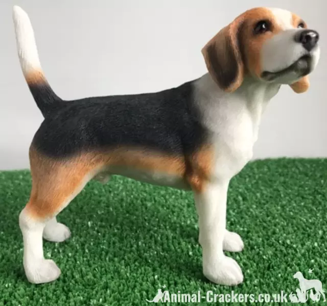 Beagle ornament Leonardo lifelike figurine decoration Dog lover quality gift box