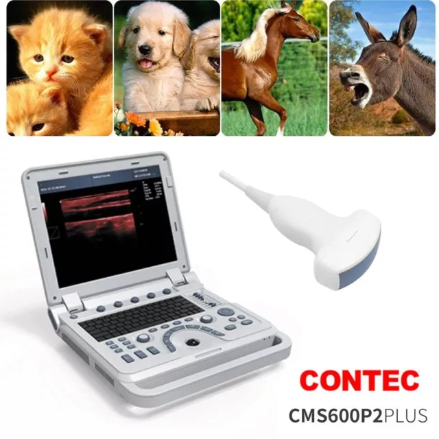 VET Pseudo Color Doppler Veterinary Ultrasound Scanner Machine Convex,Dog,cat,CE