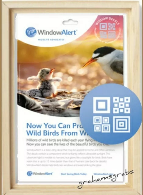 Window Alert Anti-Collision Modern Square Clings  Save Birds Prevent Strikes