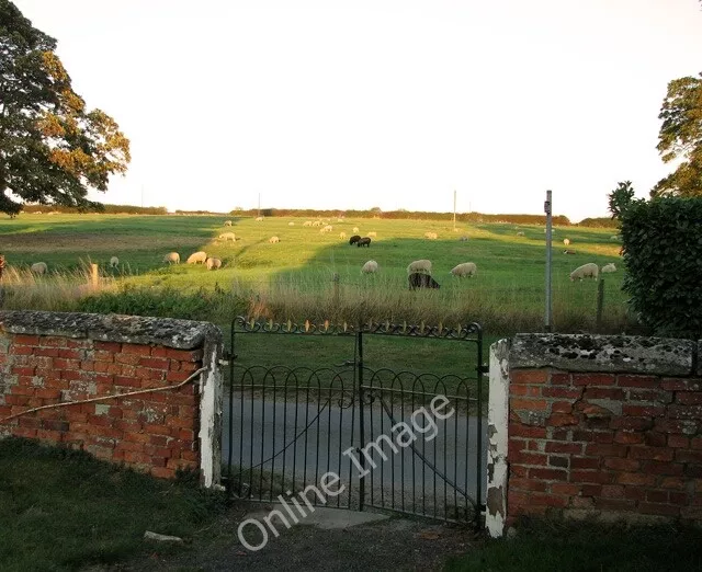 Photo 6x4 Sheep grazing by Asgarby Hall Asgarby/TF1145 This view was tak c2011