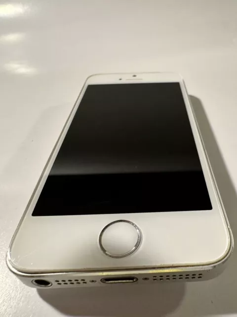 Apple iPhone 5s - 16GB - Silver (Unlocked)