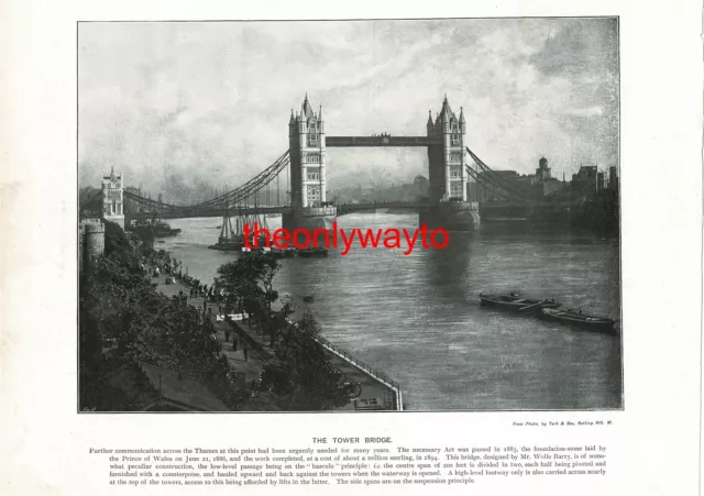 Tower Bridge And Buckingham Palace, London, Book Illustration (Print), c1897