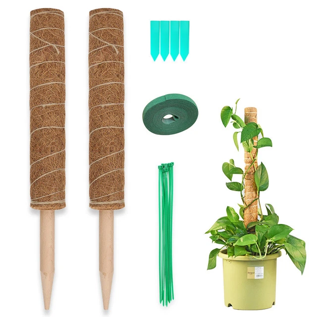 Pflanzstab Kokos für Zimmerpflanzen Rankhilfe Monstera Rankstab 2er Set
