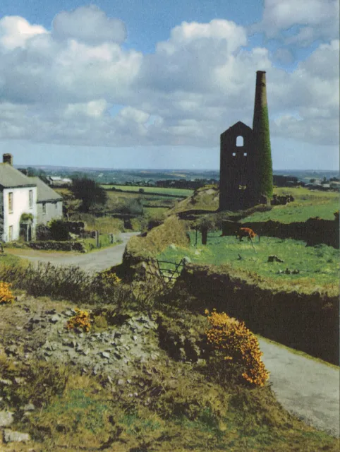 Near Gwennap Pit Redruth Cornwall Vintage Print Colour Picture 1957 DACIC#89