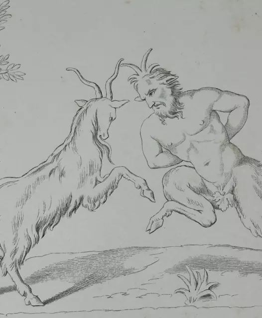Gravure XIXème Antiquité curiosa Satyre danse chèvre  mythologie art antique