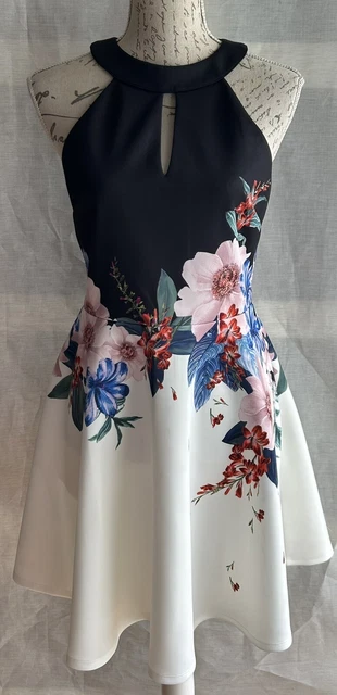Ted baker chestna oracle skater dress deals