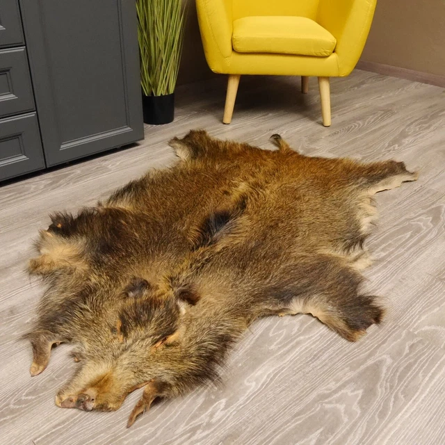 Jabalí Pequeño Piel Jabalí Schwarte Sauschwarte Alfombra Longitud 134CM