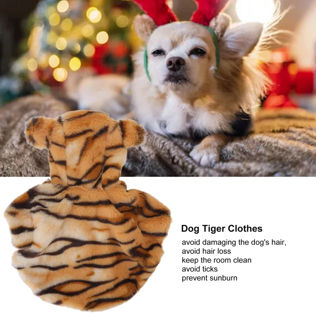 Cane Tigre Costume Di Halloween Classico Carino Colori Caldi Che Colpiscono DB3