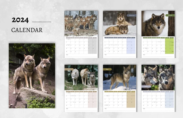 CALENDRIER LOUP 2024 | Calendrier mural mensuel, calendrier suspendu A4