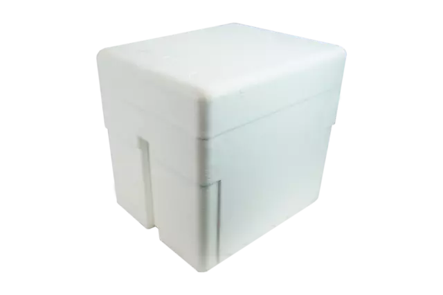 Livingstone Foam Cooler Box 10 Litres 305 x 250 x 285 mm with Lid Each (621