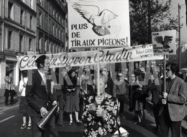 Foto vintage de archivio Francia, Manifestación Contra La Caza Al Paloma, 1976